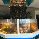 Do Mar * フンシャル