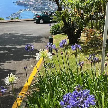 Apartamentos Do Mar Funchal *