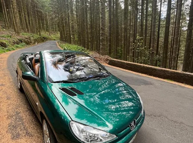 Do Mar 公寓 丰沙尔