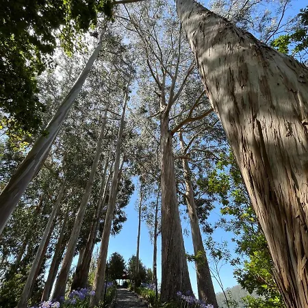Apartamentos Do Mar Funchal * Фуншал