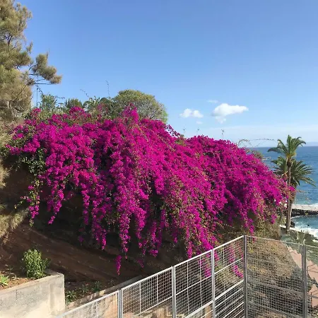 Apartamentos Do Mar Funchal Lägenhet *