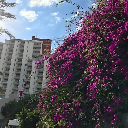 Do Mar Funchal (Madeira)