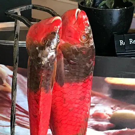 Apartamentos Do Mar Funchal Фуншал