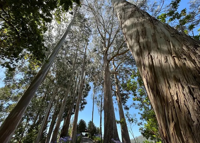 Apartamentos Do Mar Funchal * Funchal (Madeira)