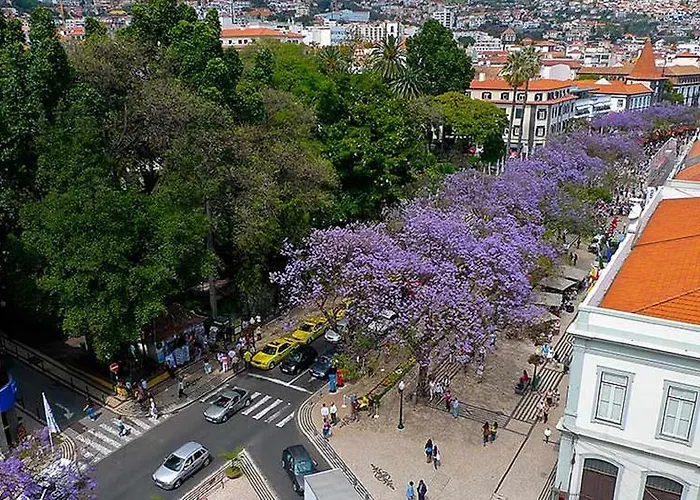 Apartamentos Do Mar Funchal Apartment Funchal (Madeira)