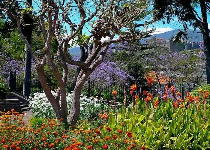 Apartamentos Do Mar Funchal *