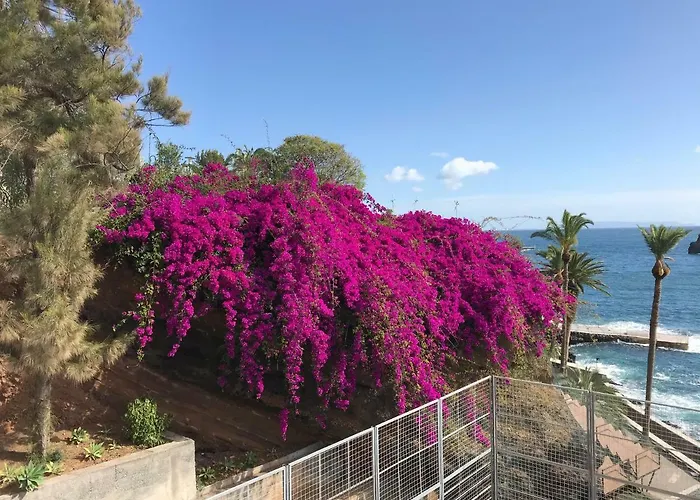 Apartamentos Do Mar Funchal Apartment *