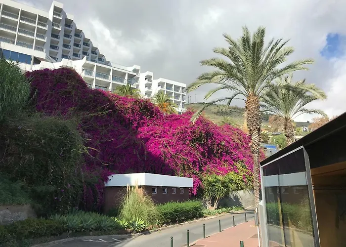 Apartamentos Do Mar Funchal Apartment