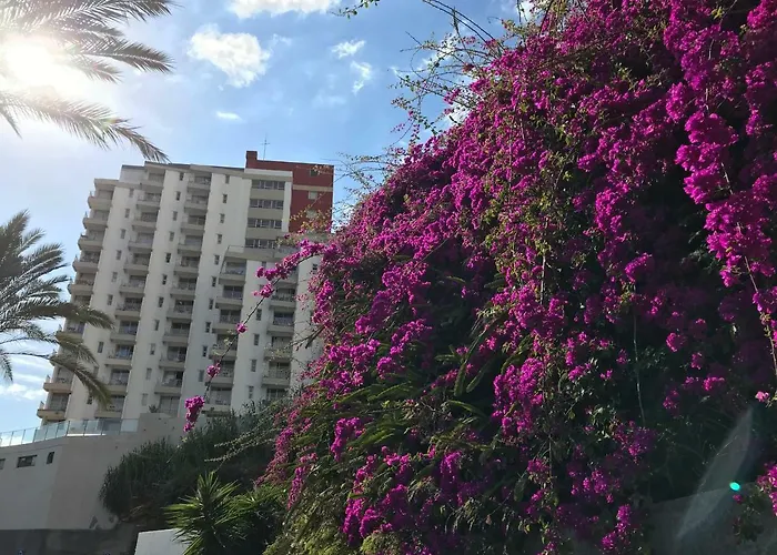 Apartamentos Do Mar Funchal Funchal (Madeira)