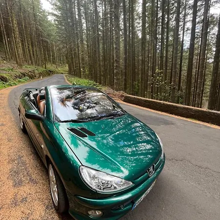 Do Mar Daire Funchal